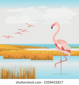 Pink flamingo standing in water. Autumn landscape with flying birds. Realistic vector illustration