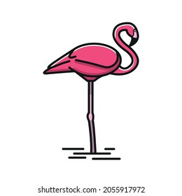 Pink flamingo standing in the water, Flamingo colored line vector icon.