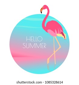 Pink flamingo standing in water on one leg at sunset. Exotic bird made in flat style. Hello summer vacation concept. Vector illustration.