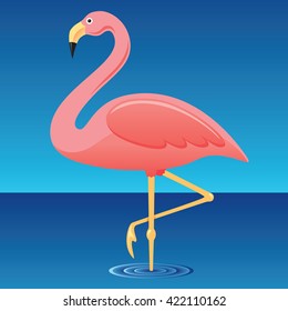 Pink Flamingo standing in water with one foot up