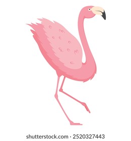 A pink flamingo stands against a pure white background. Its long legs and distinctive beak highlight the beauty of this elegant bird.