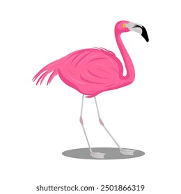 pink flamingo stands on one leg in a vector. A tropical bird on a white background.