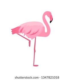 Pink flamingo stands on thin legs on a white background. Summer design