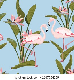 Pink flamingo, strelitzia leaves and flowers plant, vintage blue background. Vector floral seamless pattern. Tropical illustration. Exotic plants, birds. Summer beach design. Paradise nature.