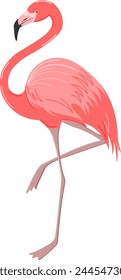 Pink flamingo. Summer time design element, flat style, isolated.