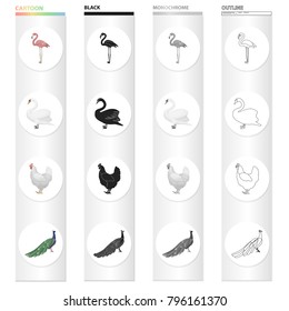 Pink flamingo, swan, domestic bird chicken, peacock. Bird set collection icons in cartoon black monochrome outline style vector symbol stock illustration web.