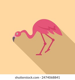 Pink flamingo is taking a stroll