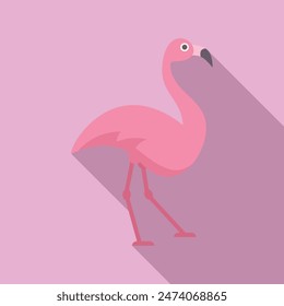 Pink flamingo is taking a stroll with its long shadow trailing behind