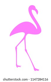 Pink flamingo in transparent or white background. Simple vector illustration of a pink flamingo.