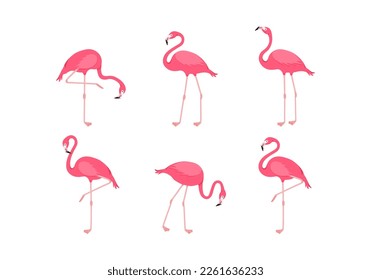 Flamingo rosa, icono de pájaro de dibujos animados tropicales, juego de animales de verano lindo. Ilustración vectorial de zoológico