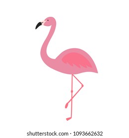 pink flamingo tropical exotic bird summer icon vector.