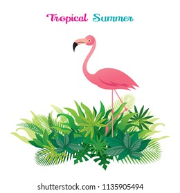 Pink Flamingo with Tropical Jungle, Animal with Plant and Nature, Background