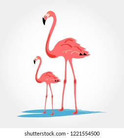 Pink flamingo. Two pink flamingo set. Exotic tropical bird. Zoo animal collection.  Decoration element. Flat design. White background. Isolated. Vector illustration