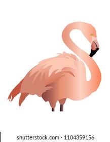 Pink Flamingo Vector