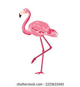 pink flamingo vector.