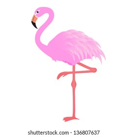 Pink flamingo, vector