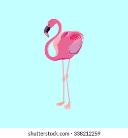 Pink Flamingo.  Vector.