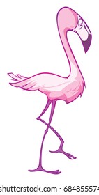 A Pink Flamingo Vector
