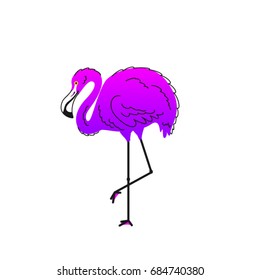 Pink Flamingo. Vector bird isolated on white background 
