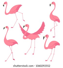 Pink flamingo vector cartoon flat set. Exotic tropical bird icons collection isolated on white background.