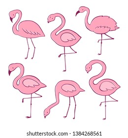 Pink flamingo vector cartoon flat set. Exotic tropical bird icons collection