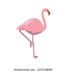 Ilustración plana vectorial de flamingo rosa aislada en fondo blanco.