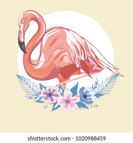 Pink flamingo vector illustration