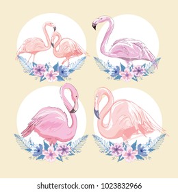 Pink flamingo vector illustration