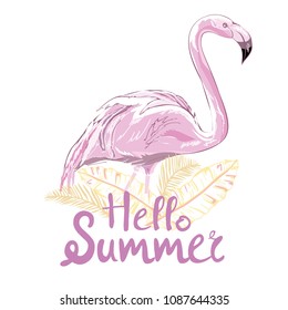 Pink flamingo vector illustration