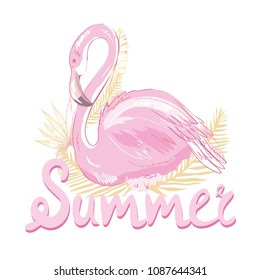 Pink flamingo vector illustration