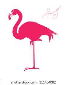 Pink flamingo - vector illustration