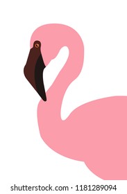 Pink flamingo vector illustration