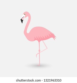 pink flamingo. vector illustration