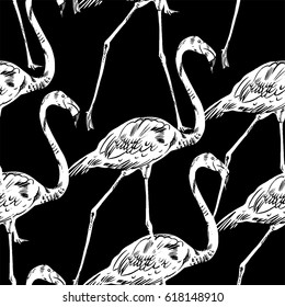 Pink flamingo vector illustration