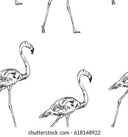 Pink flamingo vector illustration