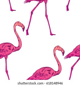 Pink flamingo vector illustration