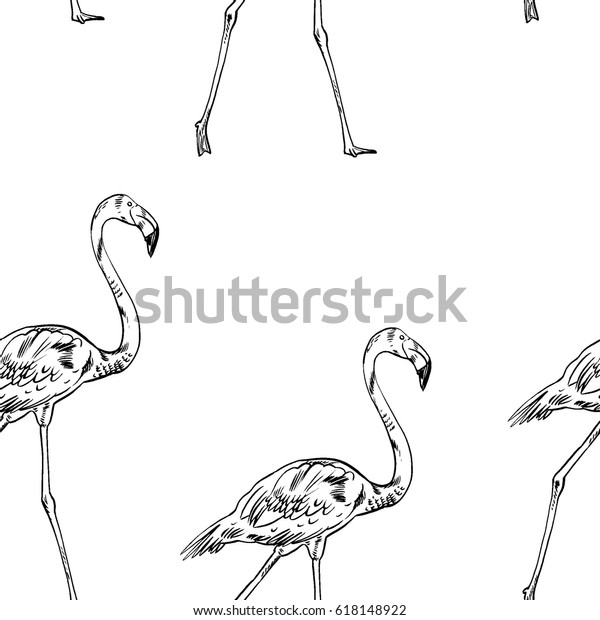 Pink Flamingo Vector Illustration Stock Vector Royalty Free 618148922 Shutterstock 5242