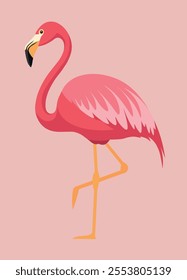 pink flamingo vector illustration, animal