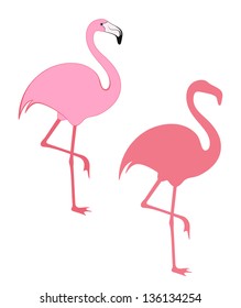 Pink flamingo. Vector illustration EPS10. Tropical flamingo on white background