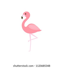 Pink flamingo vector illustration. flat design isolated on white background.