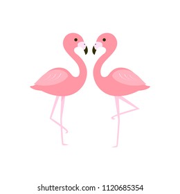 Pink flamingo vector illustration. flat design isolated on white background.