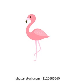 Pink flamingo vector illustration. flat design isolated on white background.