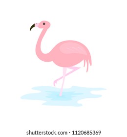Pink flamingo vector illustration. flat design isolated on white background.