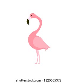 Pink flamingo vector illustration. flat design isolated on white background.