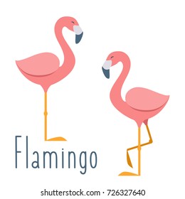 Pink flamingo. Vector illustration in flat cartoon style