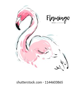 Pink flamingo vector illustration. Hand painted watercolor sketch for romantic vintage background and fashion print design.