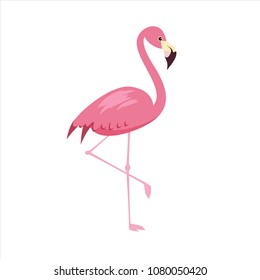 Pink flamingo vector illustration isolated on white background. Cartoon style
