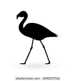 Pink flamingo . Vector illustration .Isolated on white background. Bird illustration design on background