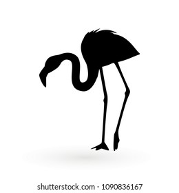 Pink flamingo . Vector illustration .Isolated on white background. Bird illustration design on background