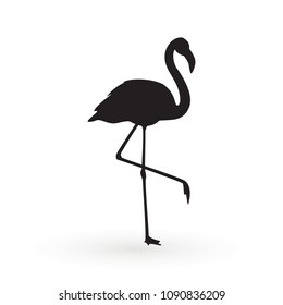 Pink flamingo . Vector illustration .Isolated on white background. Bird illustration design on background